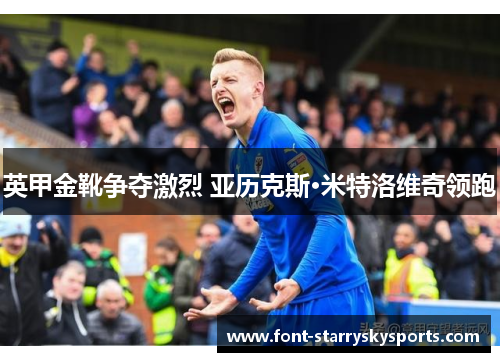 英甲金靴争夺激烈 亚历克斯·米特洛维奇领跑
