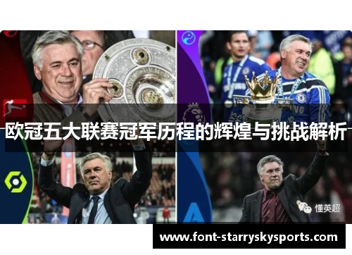 欧冠五大联赛冠军历程的辉煌与挑战解析
