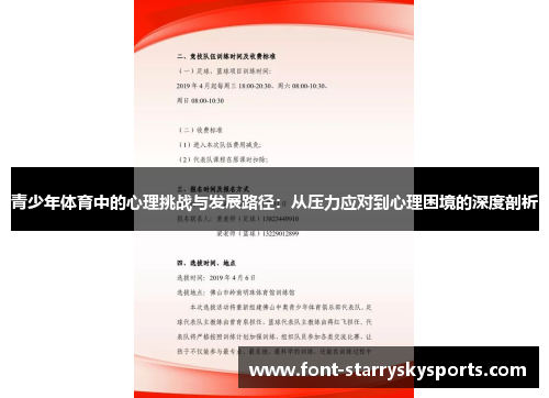 青少年体育中的心理挑战与发展路径：从压力应对到心理困境的深度剖析