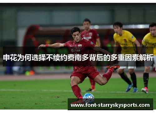 申花为何选择不续约费南多背后的多重因素解析