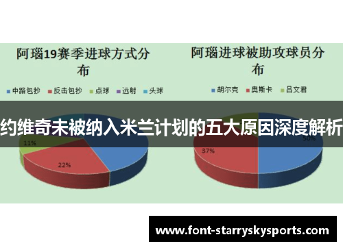 约维奇未被纳入米兰计划的五大原因深度解析
