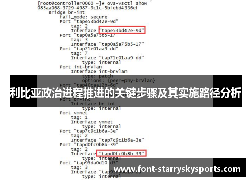 利比亚政治进程推进的关键步骤及其实施路径分析